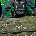 Cannabis incautado por la Guardia Civil