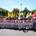 Concentración y manifestación de las Opas para exigir apoyos para garantizar el futuro del campo