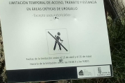 JUNTA DE CYL