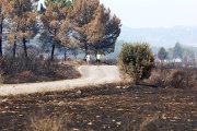 Dos caminantes recorren un paisaje arrasado por el fuego el pasado mes de agosto en Castropodame (León).