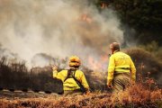Dos agentes forestales en el operativo de un incendio de la provincia de León el pasado verano.
