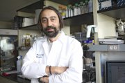Adolfo García Sastre, investigador burgalés que trabaja en la nueva vacuna contra la COVID-19.- EL MUNDO