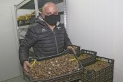 Rafael Díaz en su criadero de caracoles en el Camino de San Román en Palencia. / ICAL