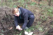 En EntreSetas todo está pensado en clave medioambiental. Consumen el mínimo de agua. Sus setas son de crecimiento lento al respetar los ciclos de luz, lo que les aporta mayor sabor y aroma  / LA POSADA