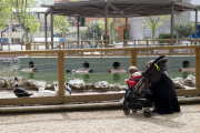 Un niño de paseo en la sillita.- ICAL