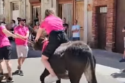 Carrera de burros en Boñar.