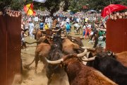 Celebración del Jueves la Saca en Soria durante las fiestas de San Juan.