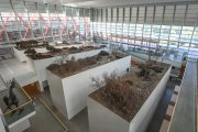 15 aniversario del Museo de la Evolución Humana