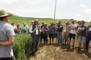Los campos de ensayo de la cooperativa Bureba Ebro permiten probar la productividad y resistencia de una amplia variedad de semillas certificadas.