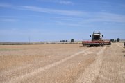 Una cosechadora en una explotación agrícola de la Comunidad