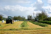 Siega de alfalfa en una explotación agrícola de Tierra de Campos (Valladolid).