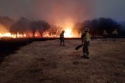 Cortafuegos ejecutado en el incendio entre Zamora y Ourense ocurrido el pasado mes de agosto