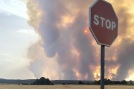 Incendio en Molezuelas de la Carballeda.