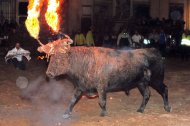 El Toro Jubilo previsto para mañana se ha suspendido por orden judicial tras una denuncia del PACMA.