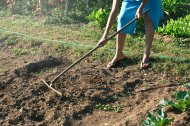 Una mujer trabaja el campo.