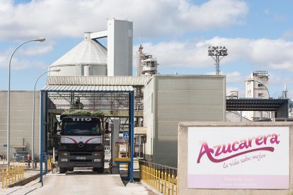 Inicio de la campaña de recogida de remolacha en la azucarera de Toro (Zamora).- E.M.