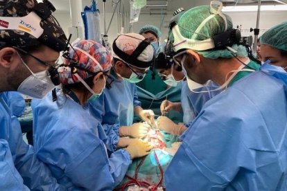 Una bebé de 13 meses de Segovia, primer caso en el mundo de trasplante de intestino tras donación en asistolia. Ical
