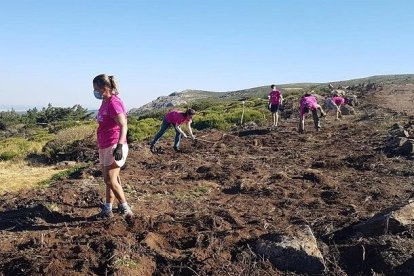 Participantes en programas de voluntariado ambiental de la Junta.- JCYL