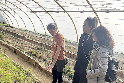 Participantes del programa formativo visitan un invernadero.