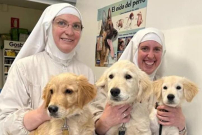 Sor Sión y otra hermana de Belorado junto a varios cachorros en una clínica veterinaria