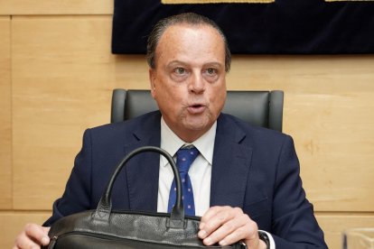 El presidente del Consejo de Cuentas, Mario Amilivia, durante su comparecencia en las Cortes.
