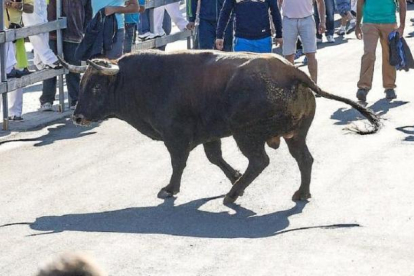 Un encierro en una imagen de archivo.