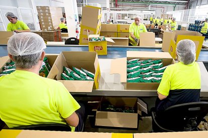Trabajadores de una fábrica de 'snacks' en Burgos.  ICAL