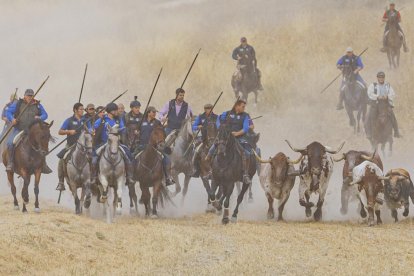 Toros de la ganadería de Cebada Gago en el último encierro de Cuéllar