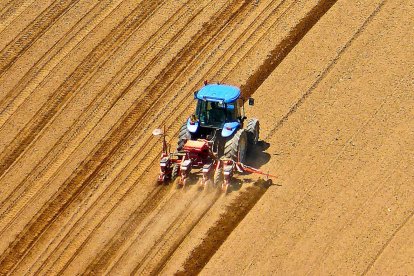 Un agricultor ara un campo de cultivo con su tractor para proceder a la sementera