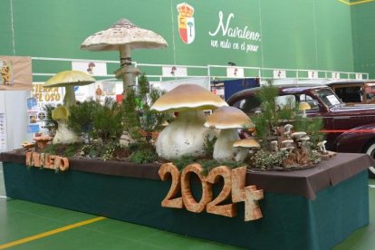 XXXII Jornadas Micológicas de Navaleno