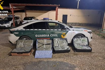 Imagen de la marihuana incautada por la Guardia Civil