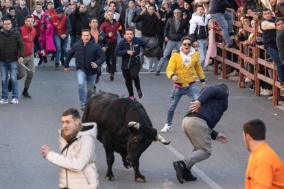 Toro de San Sebastián en Ciudad Rodrigo (Salamanca). ICAL