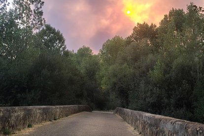 Incendio de Molezuelas en Zamora.
