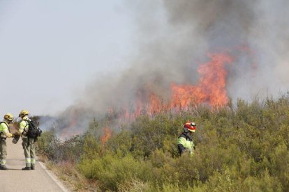 Incendio de Puercas en Zamora.