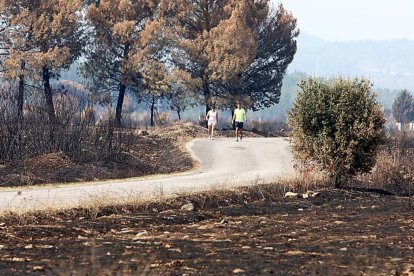 Dos caminantes recorren un paisaje arrasado por el fuego el pasado mes de agosto en Castropodame (León).