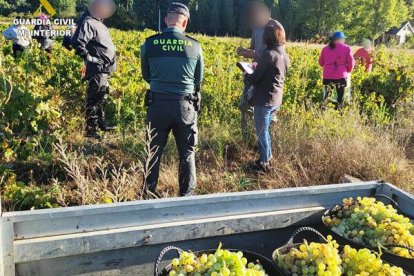 Imagen dse archivo de una operación de la guardia civil.