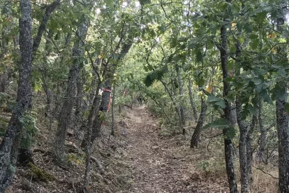 Ruta de la marcha Demandasaurus.