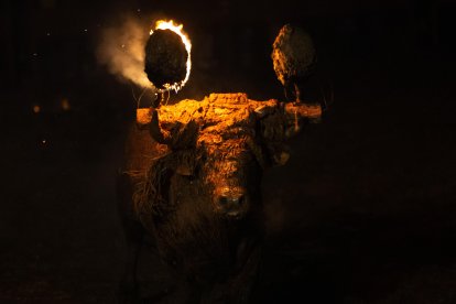 Celebración del Toro Jubilo en Medinaceli