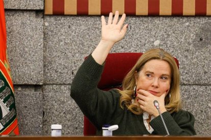 Un momento del Pleno ordinario de diciembre celebrado en el Ayuntamiento de Burgos.