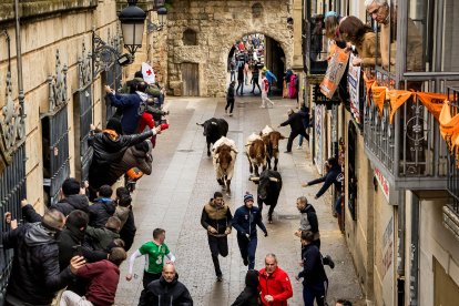 Carnaval del Toro en Ciudad Rodrigo (Salamanca)