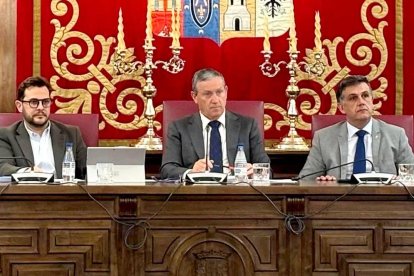 Pleno de la Diputación de Zamora.