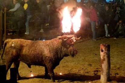 Archivo - Imagen del Toro Jubilo del año 2015.