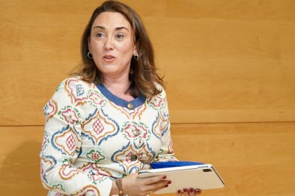 La consejera de Medio Ambiente y Energía, María González Corral, comparece en las Cortes para presentar el programa de actuaciones de su departamento para esta legislatura.