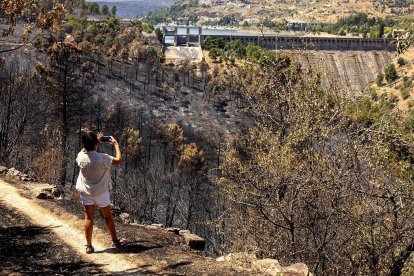 Consecuencias del incendio en Ávila. Embalse del Burguillo, en el Valle de Iruelas, en El Tiemblo.