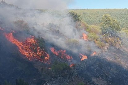 Incendio de Sosas de Laciana en León.