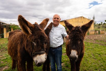 Jesús de Gabriel, con dos burros