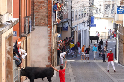 La villa de Cuéllar celebra el tercer encierro de sus fiestas en honor a la Virgen del Rosario, con toros de la ganadería de Fuente Ymbro.- ICAL