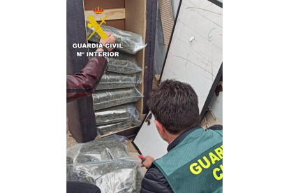 La Guardia Civil halla 14 kilos de 'maría' en la tapicería de varios sofás.- GUARDIA CIVIL