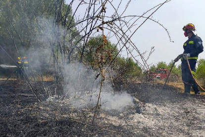 Incendio forestal declarado en solares de Villabalter, municipio de San Andrés del Rabanedo (León). - ICAL