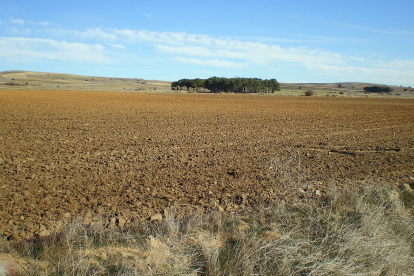 Imagen de archivo de tierras sufriendo la sequía en Ávila.- ICAL
